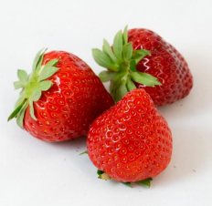 Jagoda jednorotka Laetitia